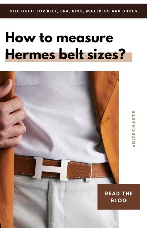 top replica hermes belt|Hermes size chart belt.